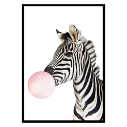 Colorful zebra poster with a zebra blowing a pink bubble gum bubble. Available in various sizes from A4 to A0. Suitable for kids' room decor.