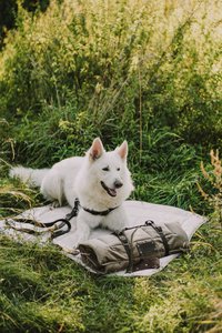 Capper, een hond en een kat voor een hond en een kat van het pluizige puppymerk, Velourmateriaal, 16 kleuren, handgemaakt!