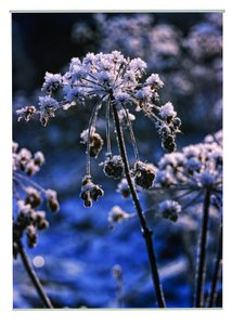 Snow Outdoor TextielPoster fotoprint 95x130cm