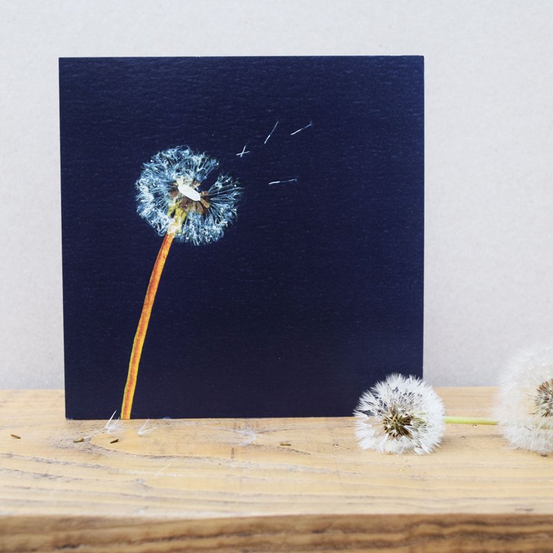 Puff Ball Card (blomsterkort)