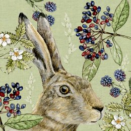 A close-up illustration of a hare or rabbit surrounded by blackberries, flowers, and foliage. The image has a vintage, botanical style.