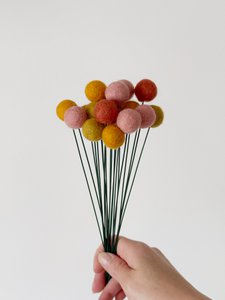 Viltbloem crespedia