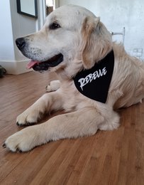 Bandana réversible "rebelle" noir & blanc