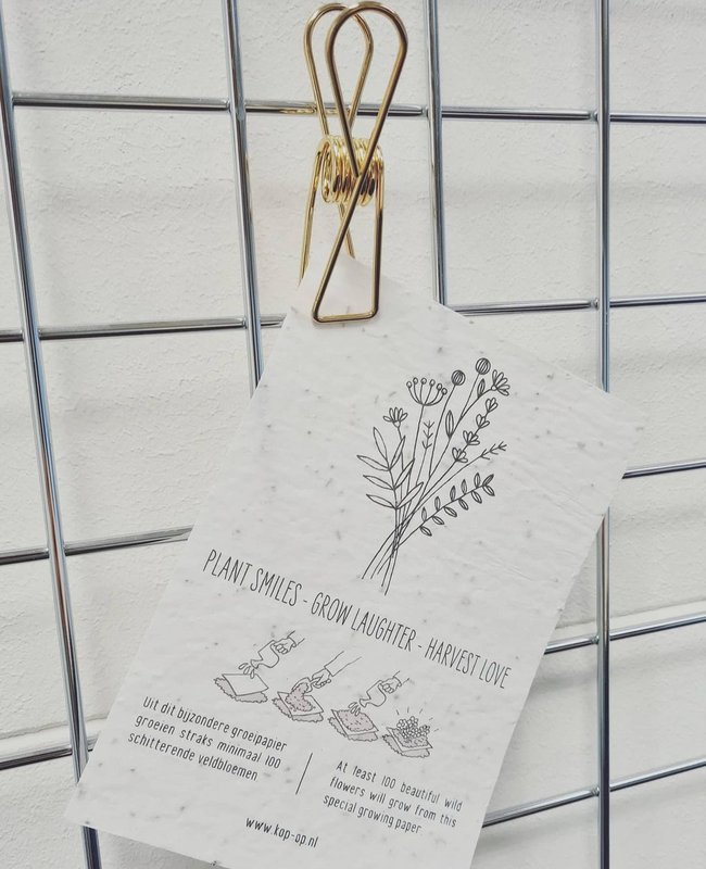 100 momentos de felicidad - Anímate... %23flores de campo (semillas en papel de cultivo)