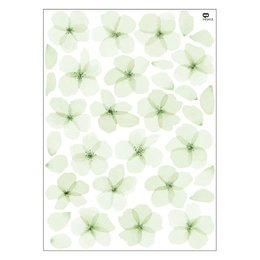 Vægklistermærke akvarel kirsebærblomst