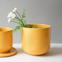 Bowl with lid MoxBowl Hollyhock - late summer yellow - 500ml