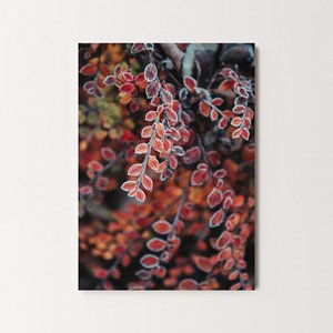 Postcard Red Branches (PK_102)