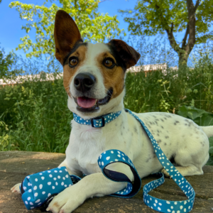 Poepzakhouder - Leuk