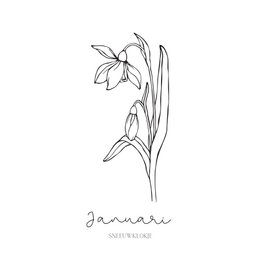 Geburts-Blumenfliese | September