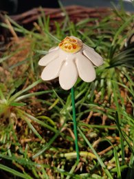 Chamomile flower ceramic white 3 cm