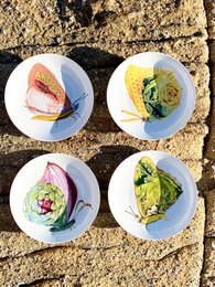 Deep plates featuring colorful, artistic food arrangements with various shapes, textures, and ingredients.