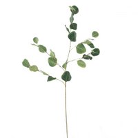 Eucalyptus - Groen - 85cm