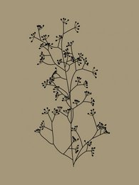 Gold paper poster featuring delicate umbel grasses with intricate branching patterns in a minimalist, nature-inspired design.