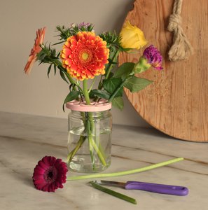 Flowerup! Bloemenrooster, bloemschijf *lichroze*