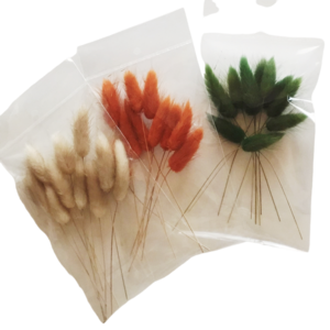 Droogbloemetjes lagurus in zakje 12pcs/10cm