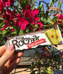 Hazelnut Protein Bar Covered With Chocolate, organic, Roobar, 40g