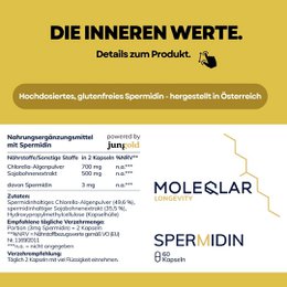 Spermidina