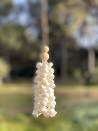  Elegant white shell decoration pendant with a string of pearl-like beads, perfect for adding a touch of natural beauty to any outfit.