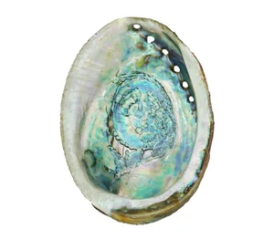 Abalone Smudge Bowl om te roken
