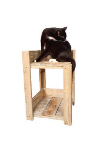 furn old dutch cat table high