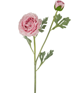 Kunstranonkel Real Touch Pink 60cm