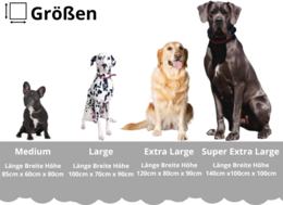 Dog Box Square Edition KALLE Super Extra Large