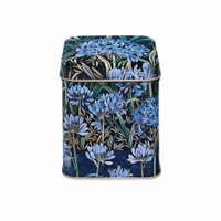 Blikje Afrikaanse lelie