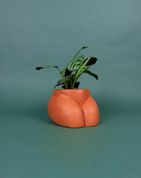 CACHE POT - SMALL BUTTLE