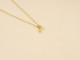 Ketting rock, ster en berg kristal, zilver of goud stainless steel