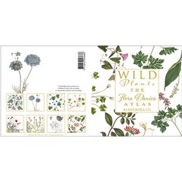 The Flora Danica Atlas - Wild plants - Square card folder