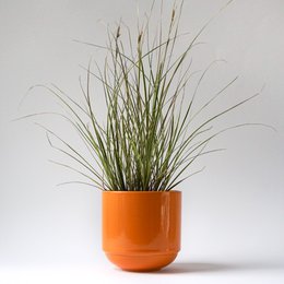 Bowl with lid MoxBowl Mathilde - deep orange - 500ml