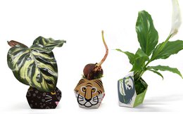 3 OriBon - Colección de animales de la selva tropical
