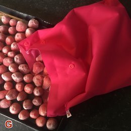 Flaxie Freeze - Genanvendelig frysepose - Stor