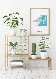 Miami Map poster