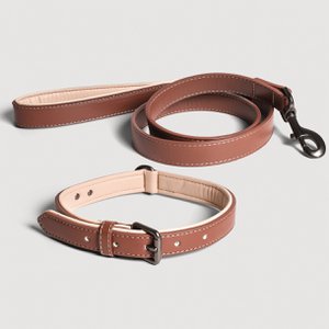 NE & No® kraag en riem set - Vegan lederen - voor kleine en grote honden bruin + beige