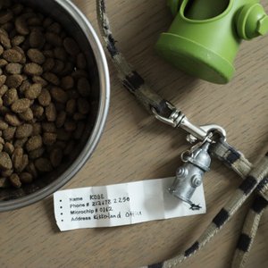 Kobe-identificatiecharme