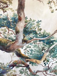 Branches d'arbres Tenture murale