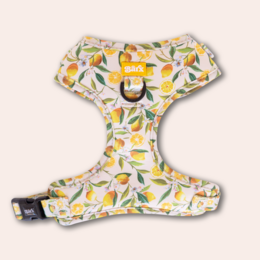 Adjustable dog harness with a colorful fruit pattern design, suitable for dogs of various sizes from XXS to L.