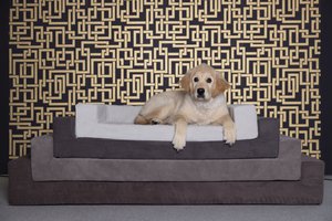Matratze (ORTHOPÄDISCHE) KATZEN UND HUNDE
