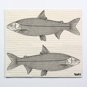Schwammtuch furbi: Fische