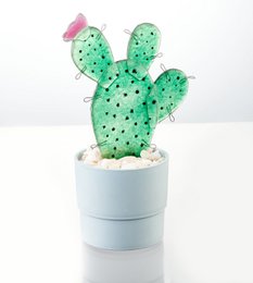  A small, green cactus with a pink flower in a white pot. The cactus has a rounded, prickly shape and is covered in dark spots.