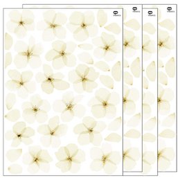 Vægklistermærke akvarel kirsebærblomst
