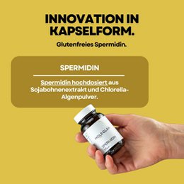 Spermidina