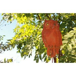 Decorative rust metal garden stake in the shape of an owl, measuring 28cm x 15cm, featuring a patina finish and placed among green leaves.