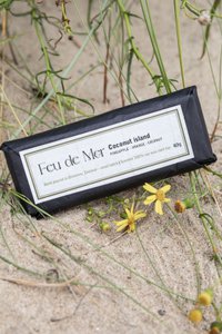 Wax melt bar 40g - coconut island