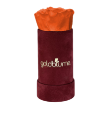 Velvet Bordeaux Collection