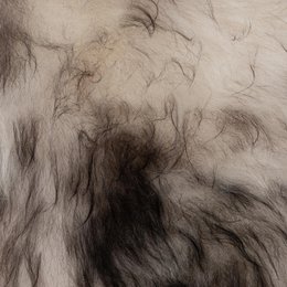 WOOOL Fåreskind - Islandsk Hvid Sort