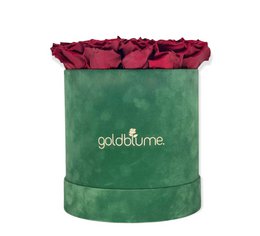 Colección Terciopelo Verde