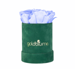 Colección Terciopelo Verde