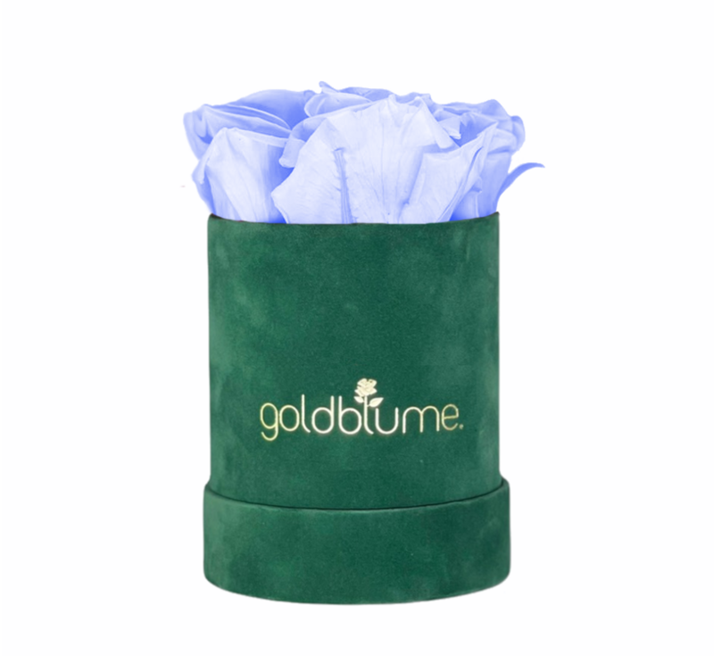 Colección Terciopelo Verde